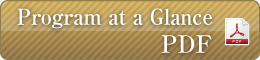 Program at a Glance PDF