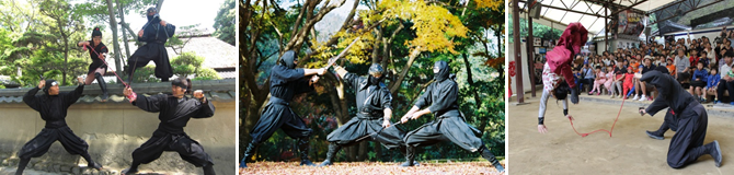 Ninjya Show